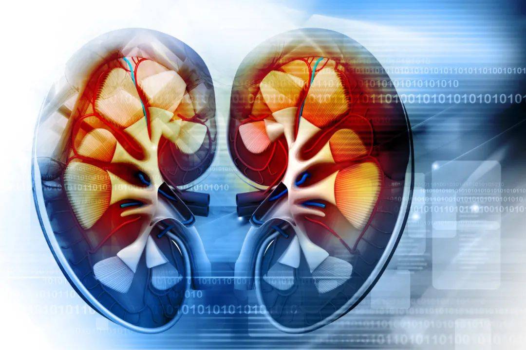 治疗|#糖尿病肾病# 小心血糖影响到你的“腰子“！