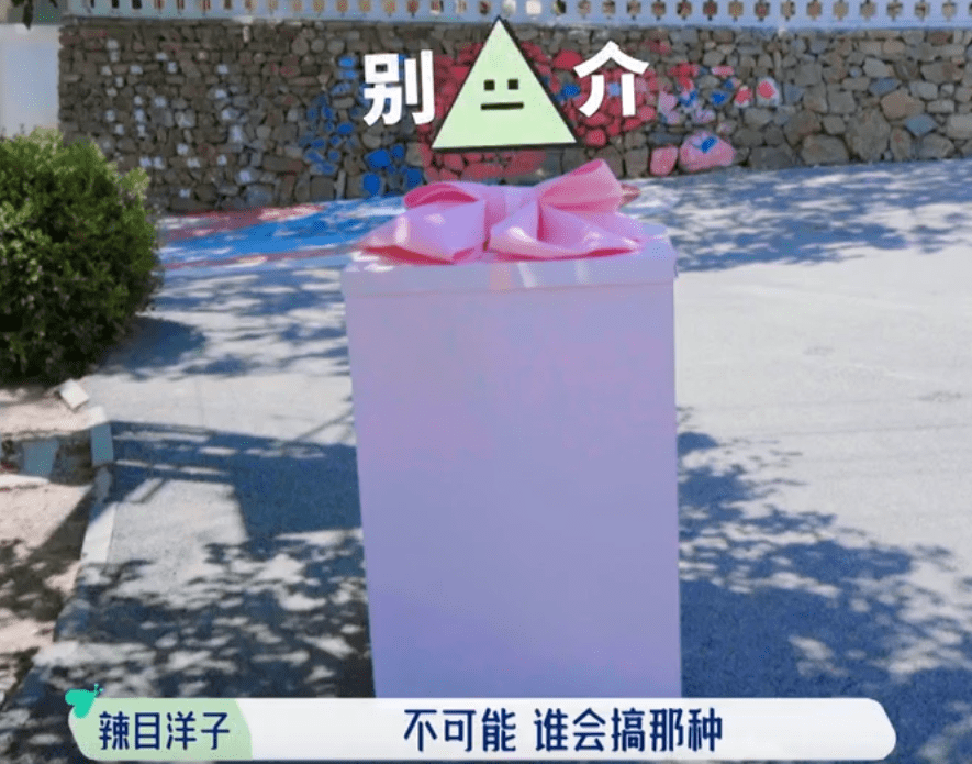 头功|可爱的辣目洋子