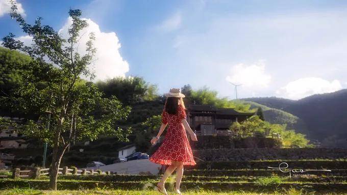 夏日长|大暑 | 长夏终有时，但惜夏日长