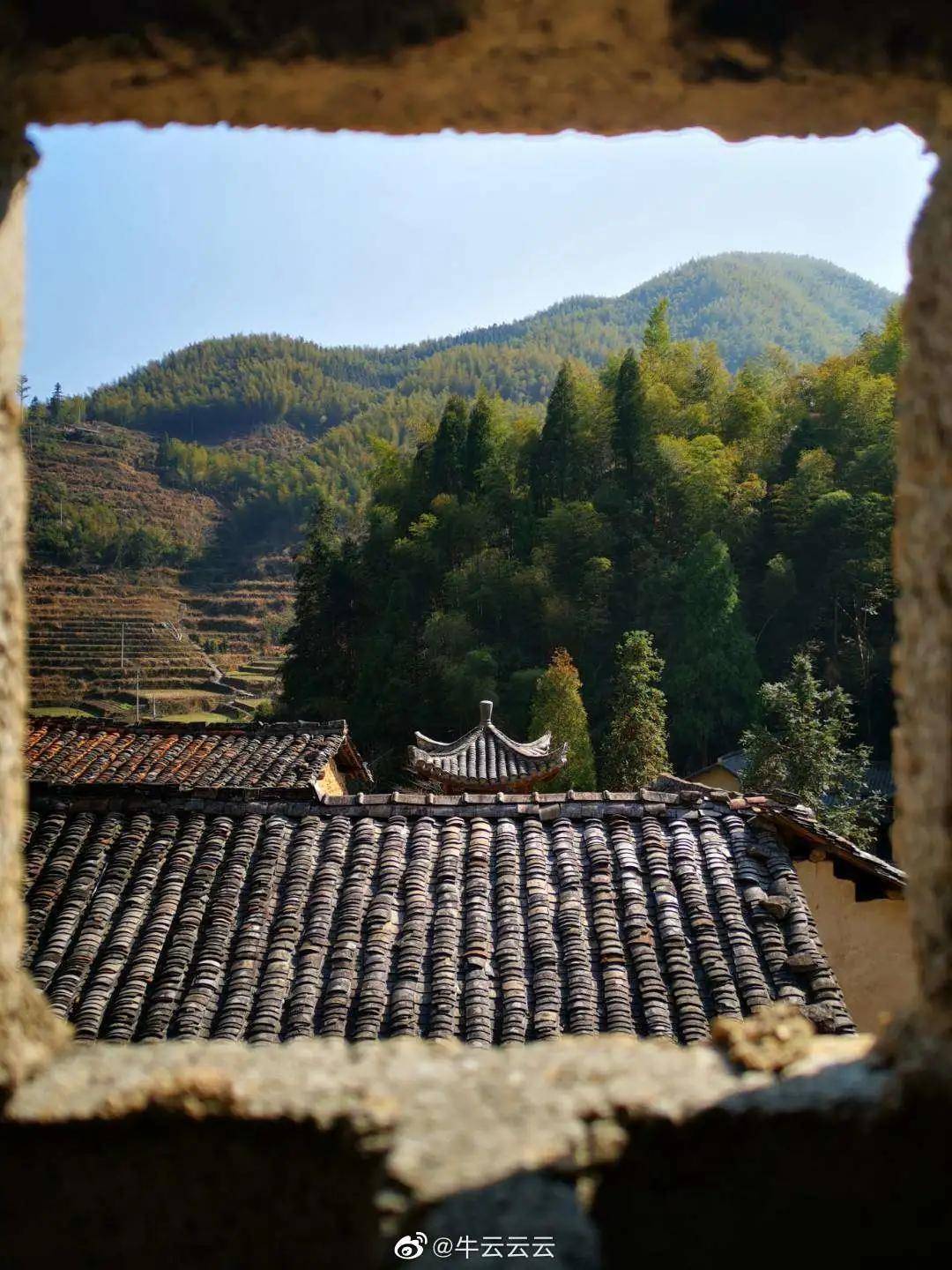 夏日长|大暑 | 长夏终有时，但惜夏日长