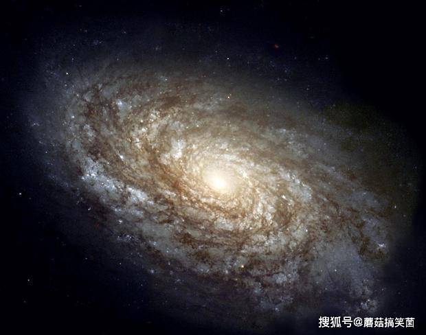 宇宙本空無一物，地球是如何誕生的？為何會出現生命 科技 第1張