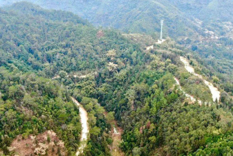 肇庆新建公路逆天了！途径2大自然景区，惠利村民发展经济与环境