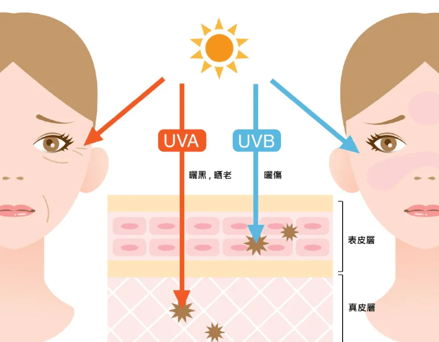 进行|敬修堂佰花方：晒后做好这一点，晒黑了也有机会白回来！