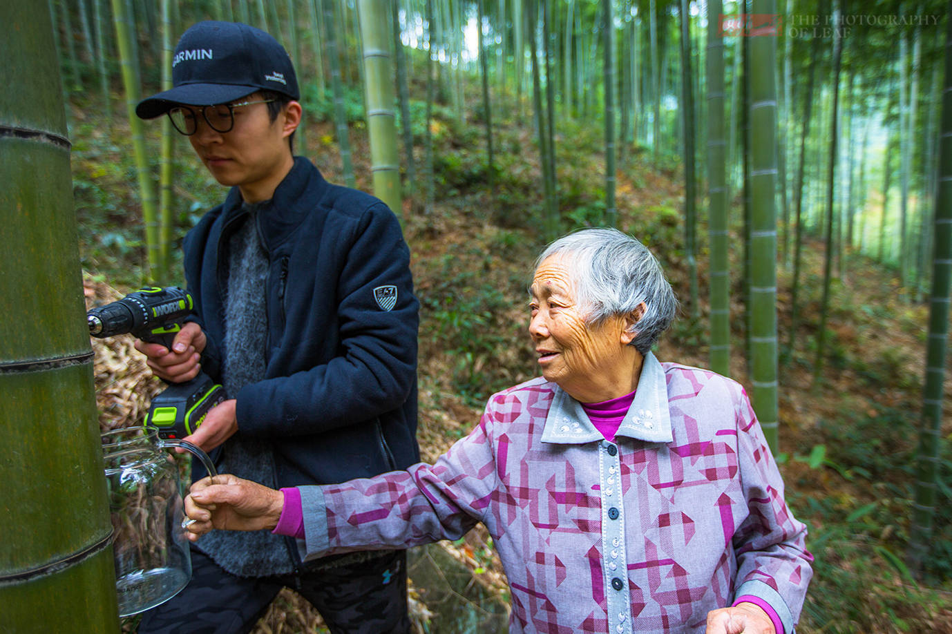 竹酒|亲眼看到活竹子里流出竹酒，为何还有人说是假的？这里的水很深