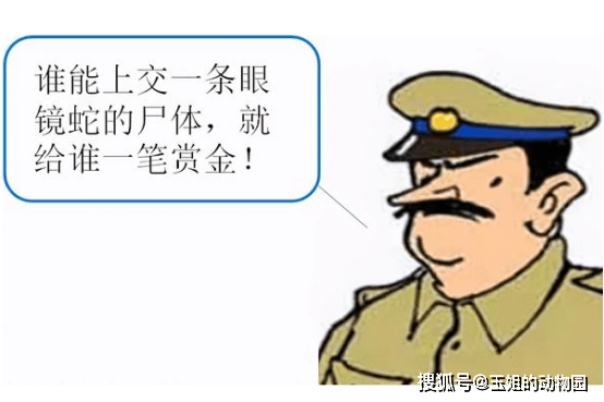 成语抓什么挠_成语故事简笔画(3)