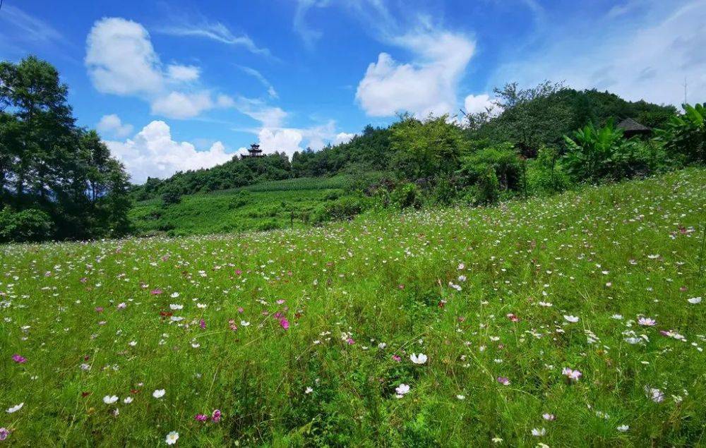 石门|贵州道真：山上石门开 天乡入画来