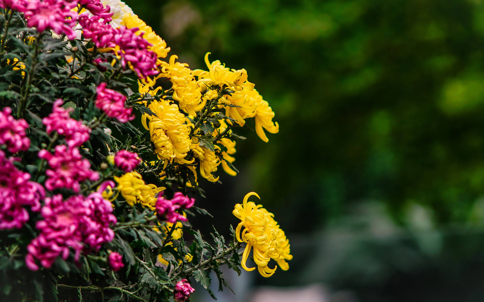 3大生肖大喜临头,8月财运大涨,轻松日进斗金!