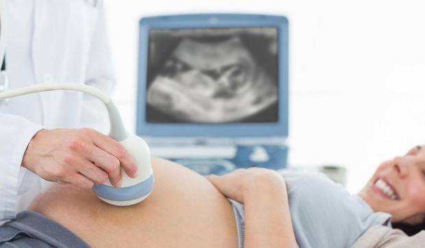 经济|全面放开二胎的第五年，那些第一批要二胎的家庭都怎么样了