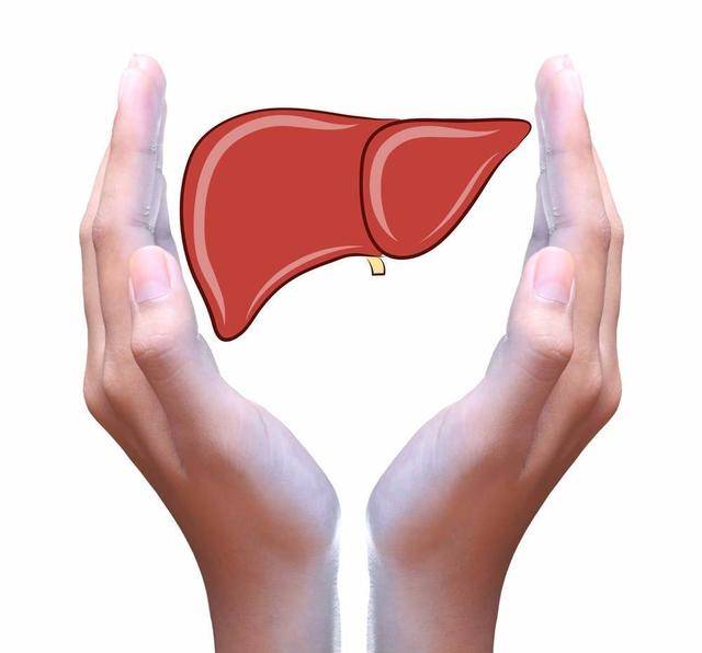 人体|李兰娟:早上是养肝“黄金期”,多吃3种早餐,或肝功变红润