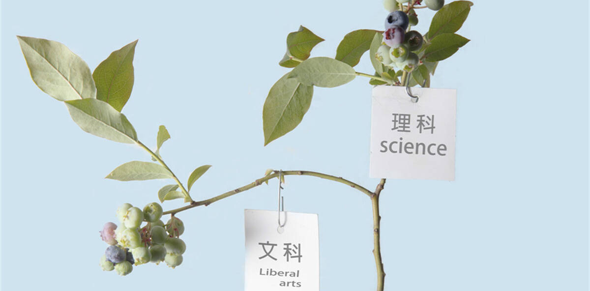 高中文理分科难 过来人劝诫 谨慎为主 选错或将耽误学业 文科生