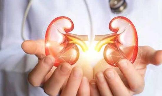 治疗|肾病患者肌酐升高后,做好这三件事,能延缓尿毒症的到来