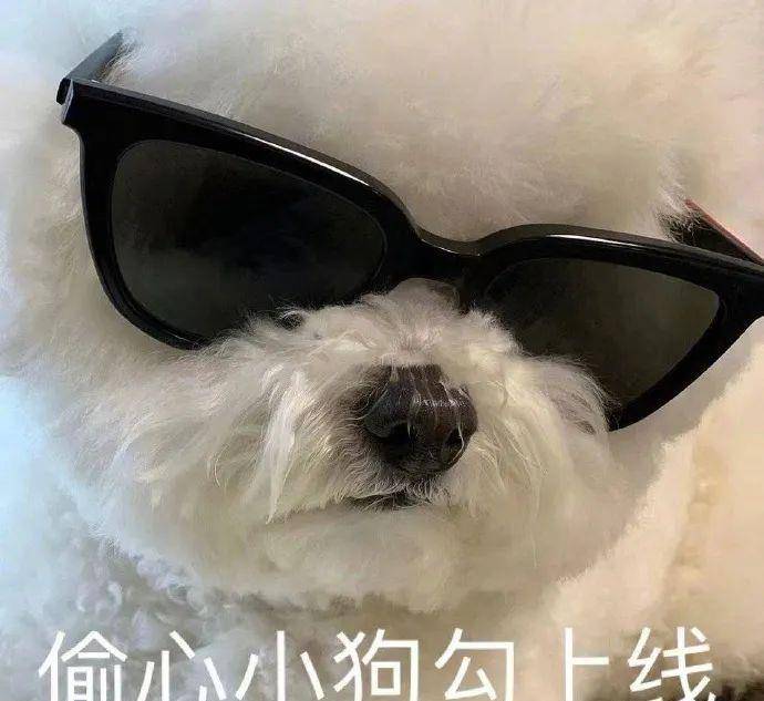 颜色|情侣装千万别这么穿！甜甜甜疯了，看完就想谈恋爱！