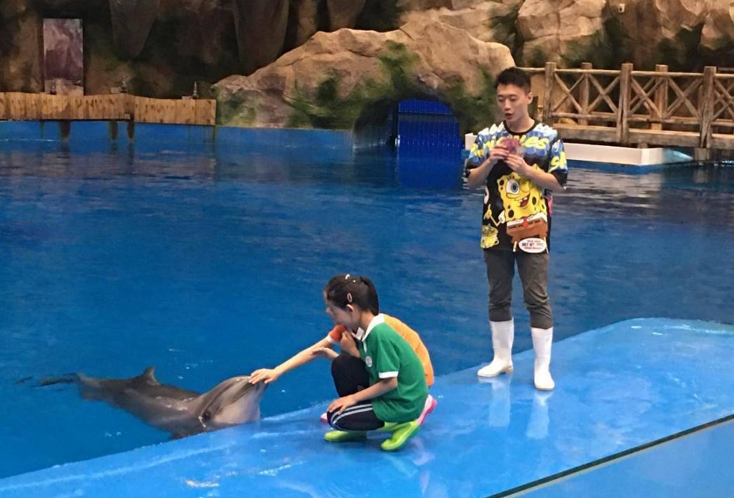 海洋公园视频怎么剪 140f7965beba4b298fe169338fc42c2b.jpeg