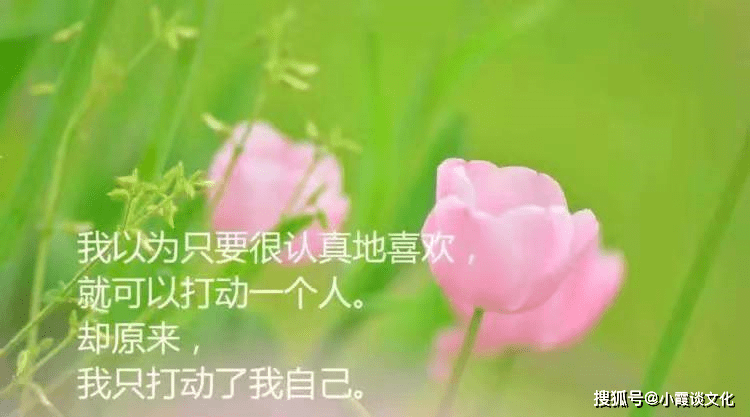 怎么样写自己的人生感悟 a4617c18fe0947f5a1be5062fc355a56.png