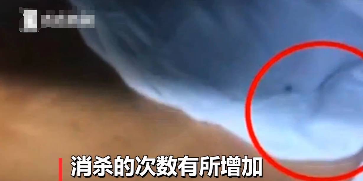 怎么看小孩有没有虫子 fcb8b53492064f30968f4bf421634007.jpeg