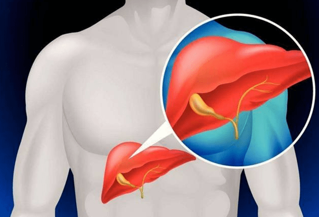 肝脏|长期熬夜玩手机的人,若没这“3异常”上身,你的肝脏或许还不错