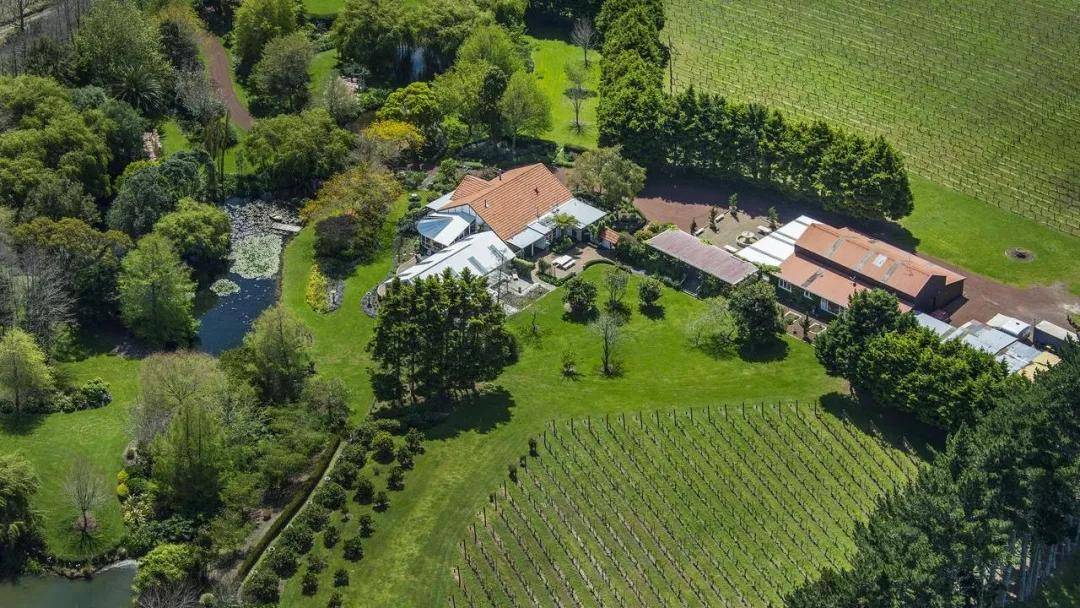 中国买家被迫亏本卖掉新西兰精品酒庄,背后的原因竟然是