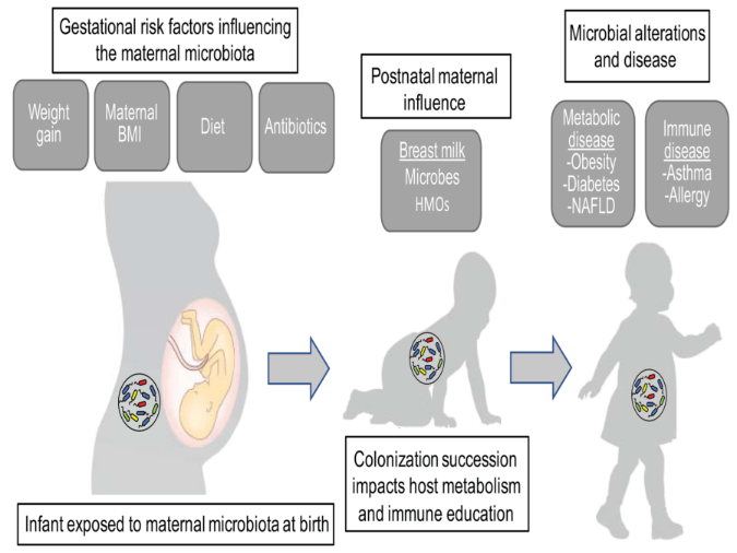 子代|女明星怀孕便秘批发开塞露？这些缓解便秘的小妙招胜过开塞露！