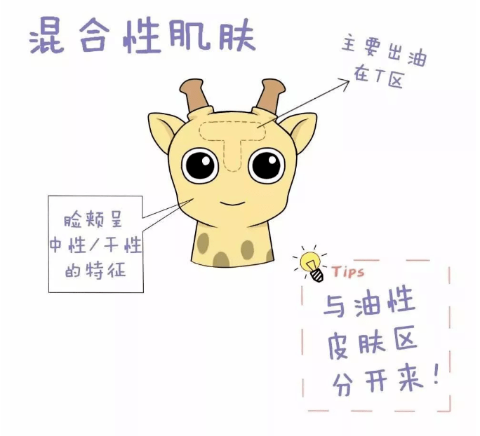 产品|让混合肌肤夏季更听话，护肤也得讲套路