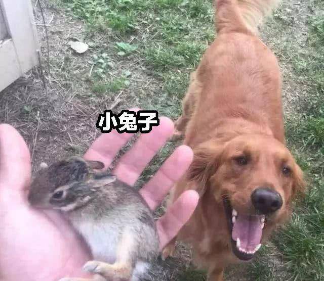 1bea5717623e4aa0bd808b01e85f4c0f.jpeg