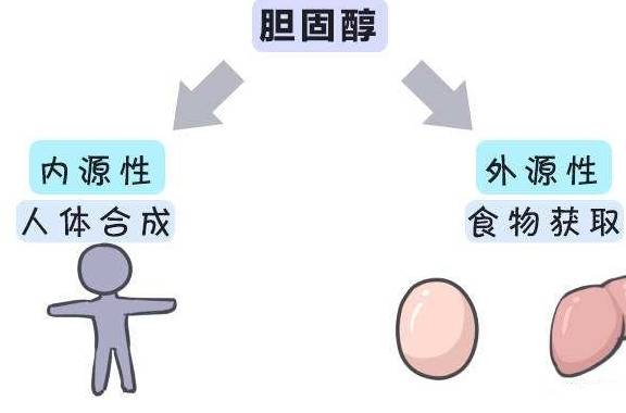 方法|鸡蛋减肥法，更适合懒人的减肥方法，你学到了吗