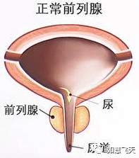 69b709f151244751b037ebbf32f69c30.png