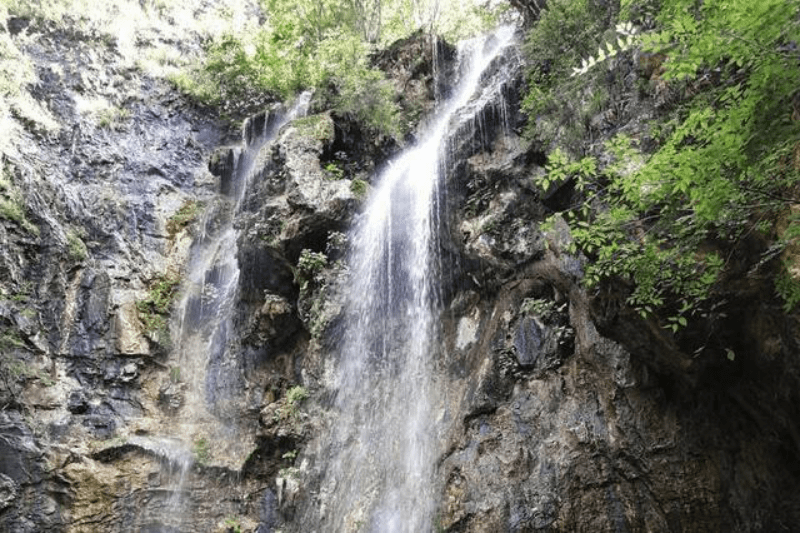 河南一景区以竹海著称，暑期平均气温仅25℃，超适合亲子暑假出游