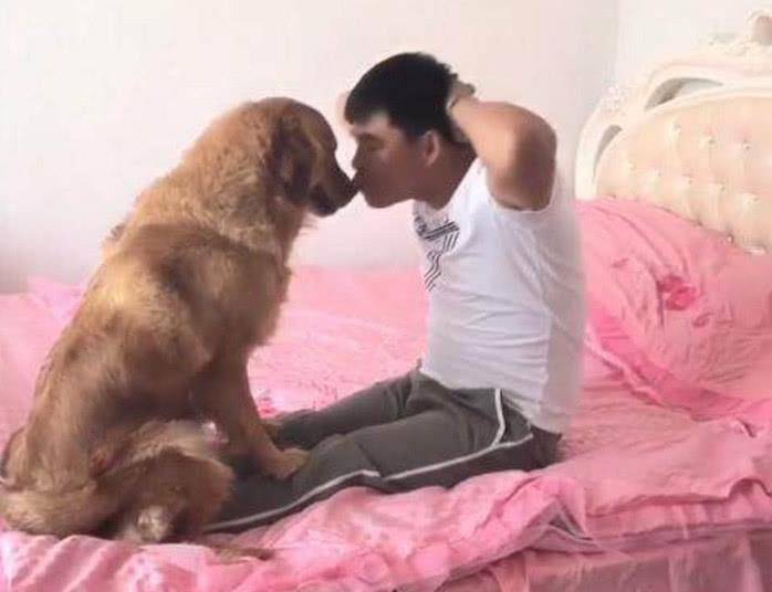 狗狗聪明乖巧善解人意，可惜遇上二货主人，这表情简直绝了