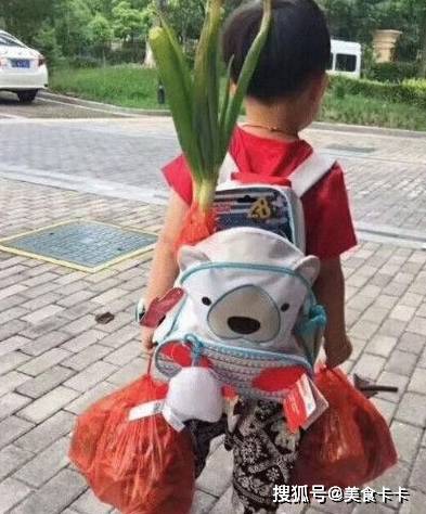 大葱|孩子背着两颗大葱去上学走红网络，打开书包更是把网友吓到了