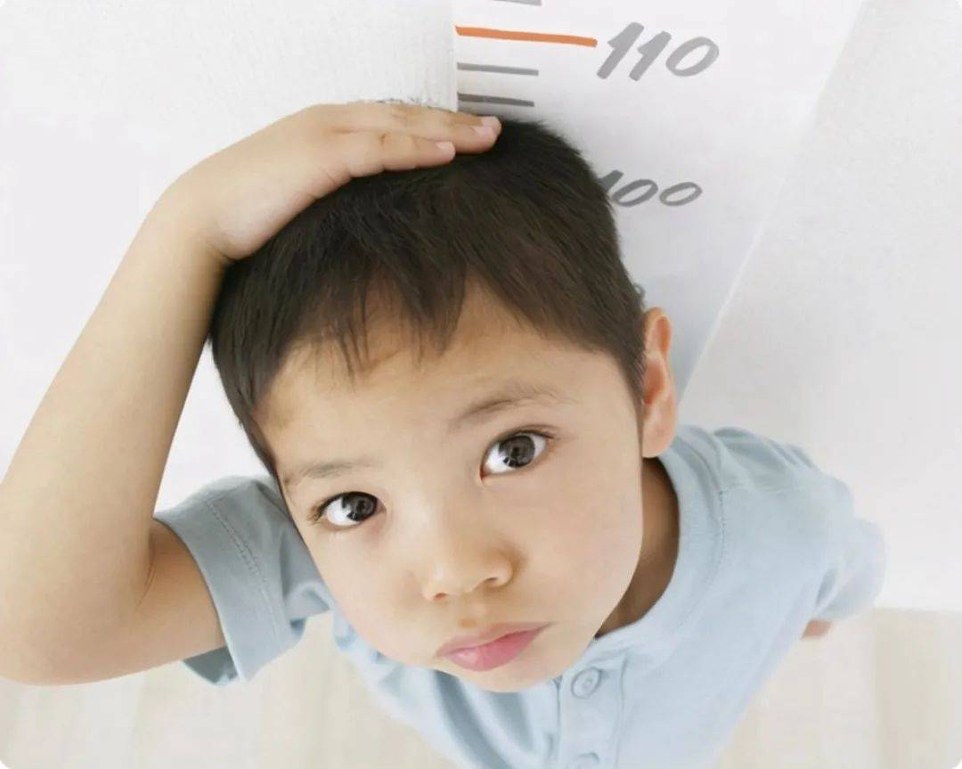 原则|张文宏：孩子的早餐不能糊弄，重视“三不”原则助力孩子长高个