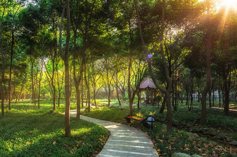 成都|在成都月子中心的一日月子生活体验，是这样的！