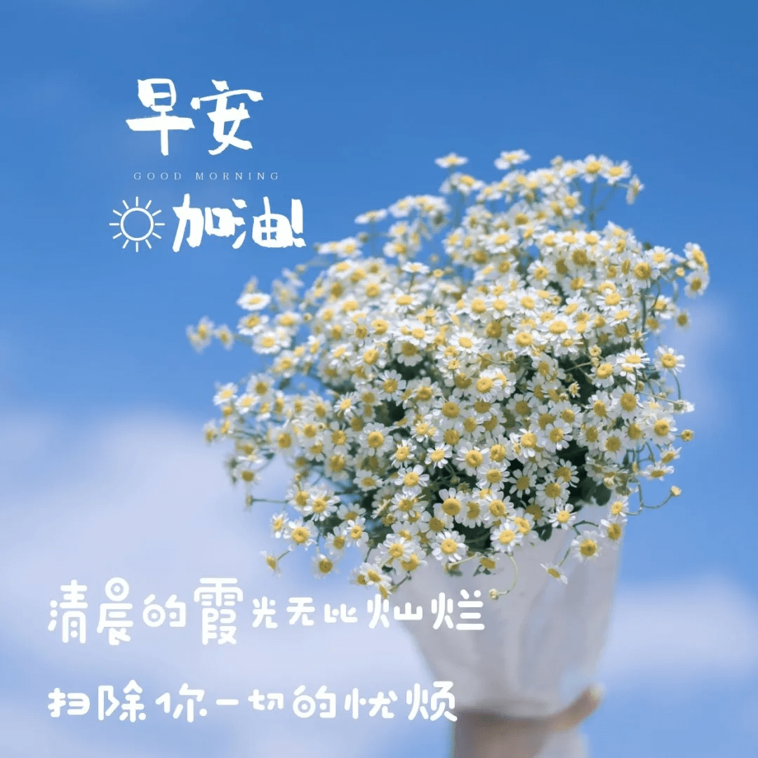 原創盛夏早安帶字溫馨圖片最新的早上好祝福語錄送給大家