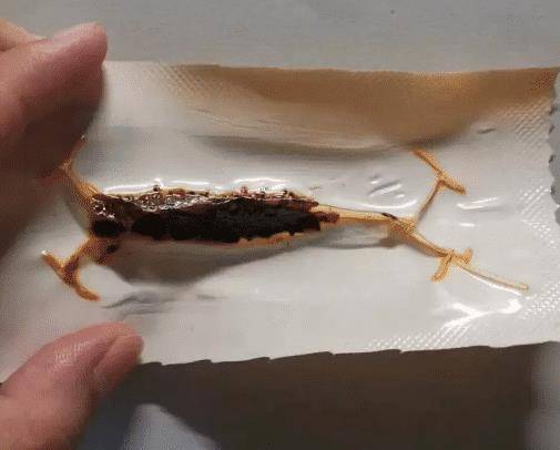 家小|如果我是按摩师,遇到这种客人,可能我直接就跑了吧!哈哈哈哈哈!太吓人了!