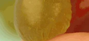 什么|学生党3种“零差评”零食，好吃不贵，有你吃过的吗？