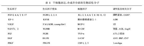 方法|用干细胞终结皮肤老化！