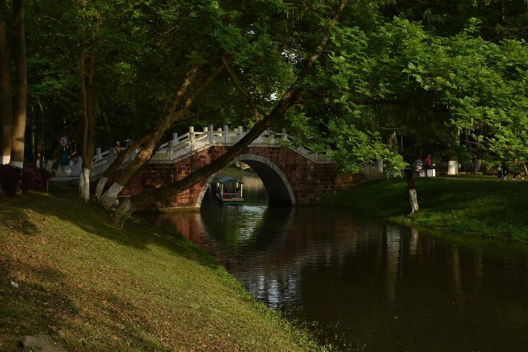 幼儿园|绿就一个字，可是已经把全世界都融化了（一个幼儿园教师的快乐暑假）