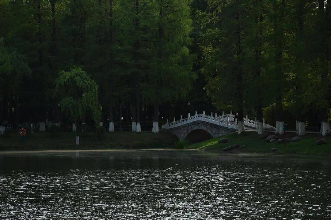 幼儿园|绿就一个字，可是已经把全世界都融化了（一个幼儿园教师的快乐暑假）