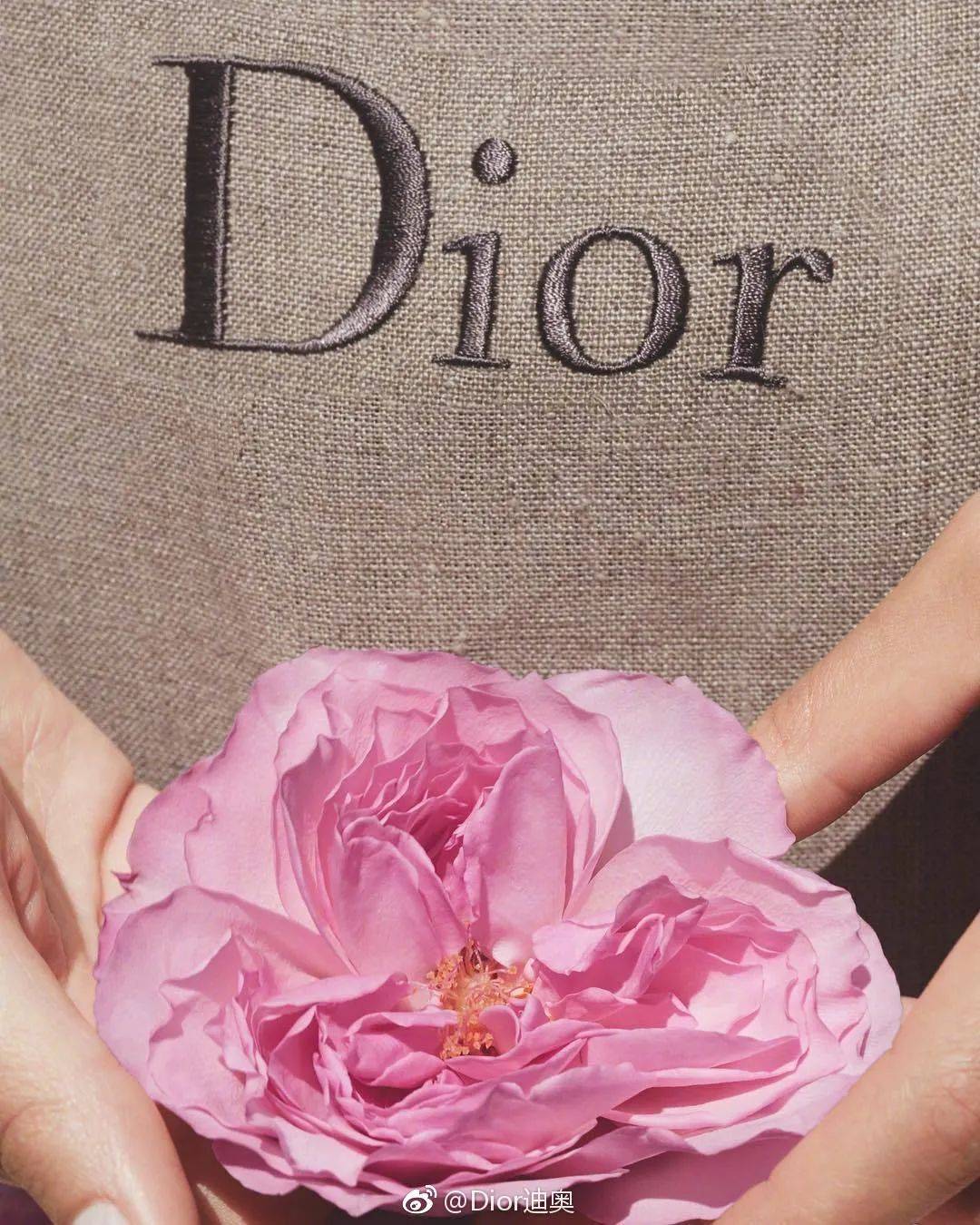 Dior|Dior《寻香之旅》，传奇经典是如何诞生的？