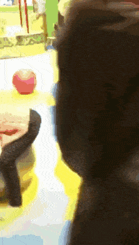 皮囊|搞笑GIF:看看这个孩子,像不像第一次下厨的你?