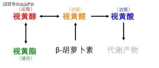 姐妹|早C晚A，风很大的维生素成分有啥作用？