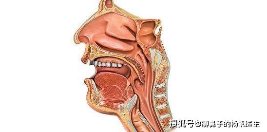 鼻子进东西了怎么办