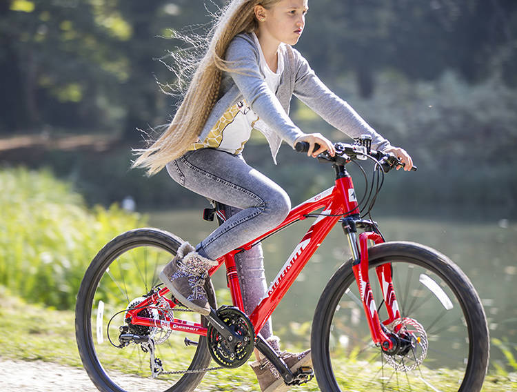 运动品牌销量排行_中国儿童自行车排名十强辐轮王土拨鼠全球最好第一学生自行车品牌