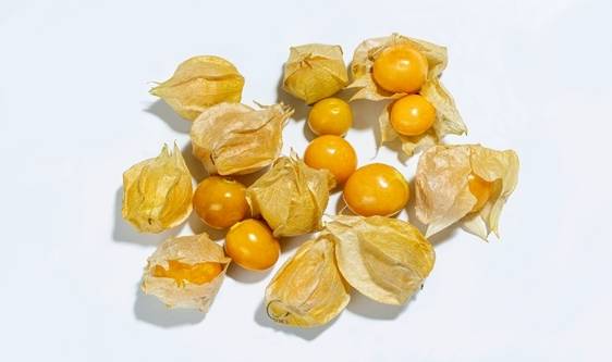 菇娘,也叫洋菇娘,金姑娘,灯笼果,其含有多种维生素,氨基酸及适量的