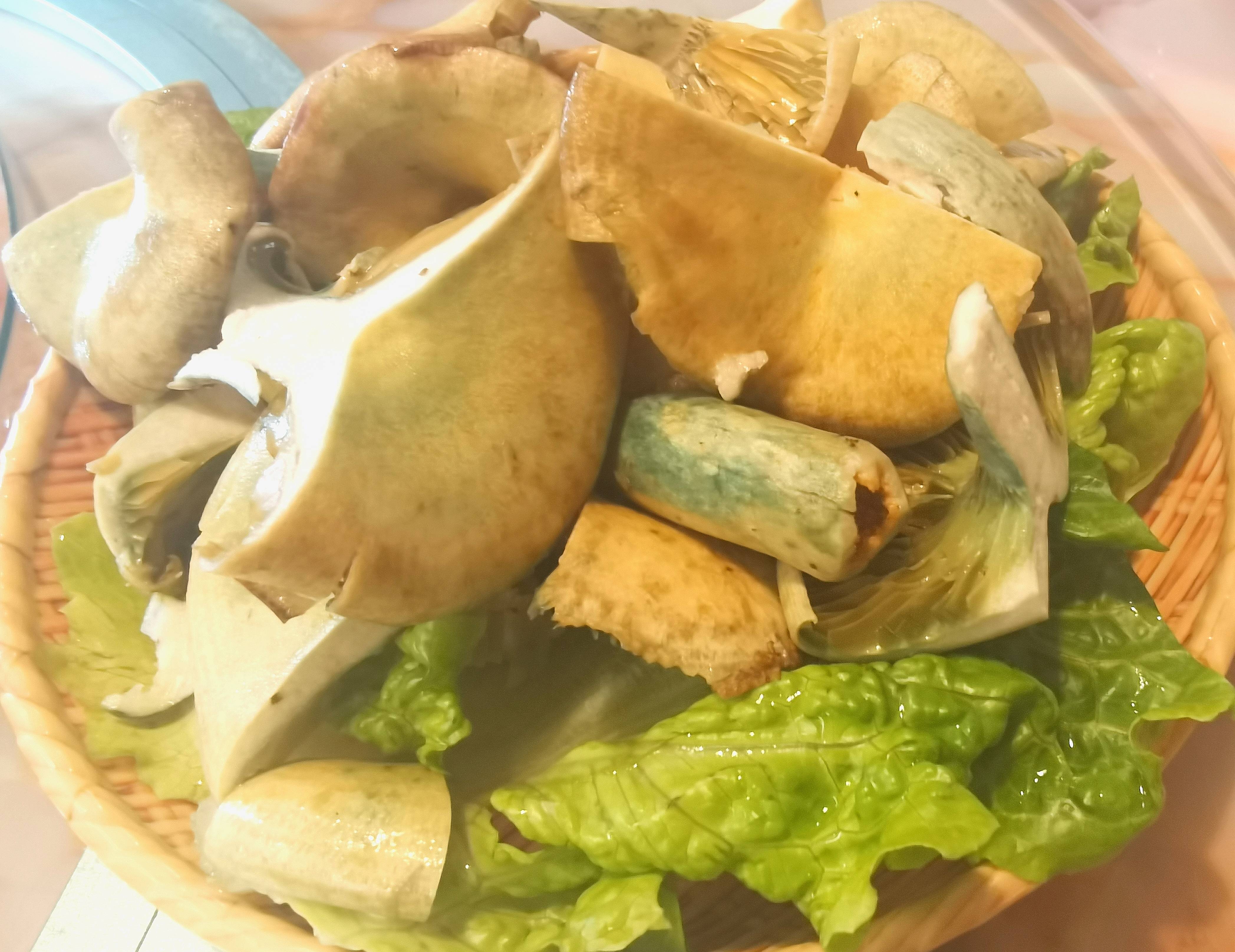 美食|轻食主义，台湾同胞做的野生菌就是不一样