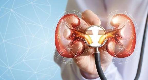 废物|这些指标预示肾功能下降，恐患慢性肾病，啥时候透析？医生告诉您