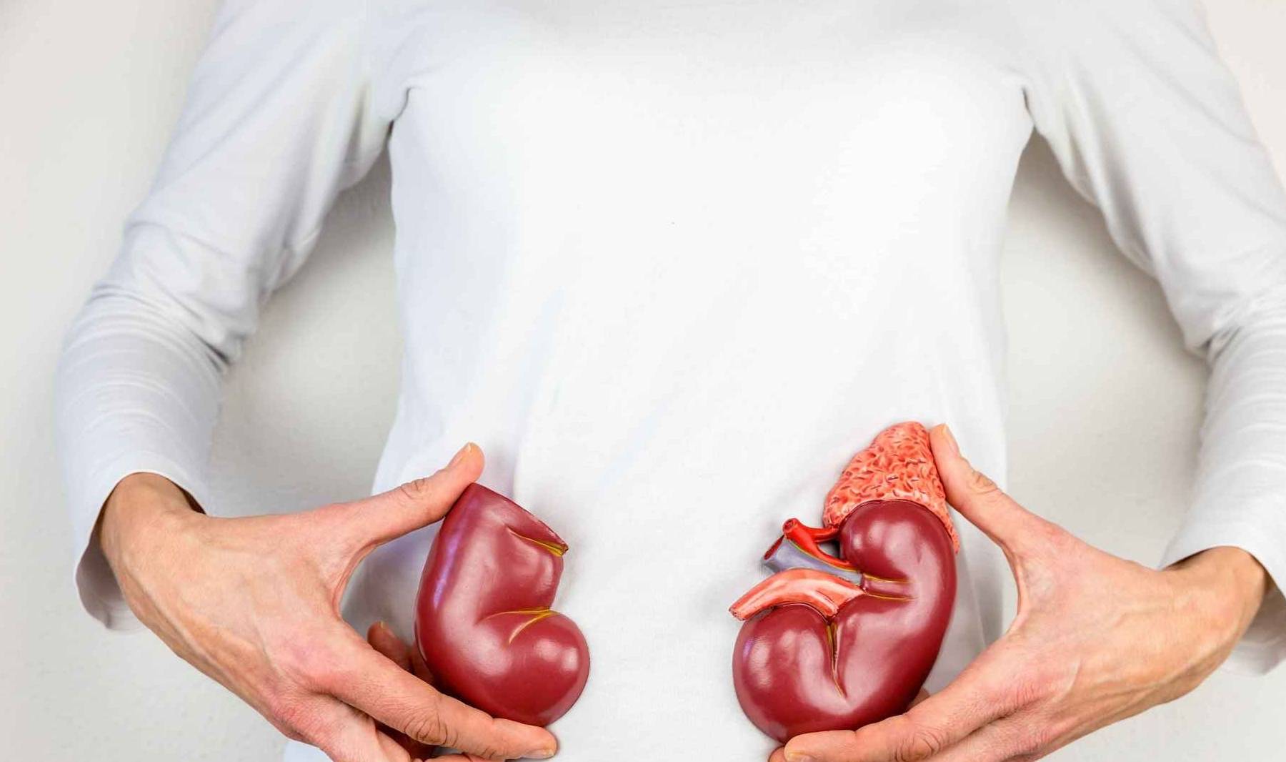 治疗|尿毒症多是拖出来的?肾脏最怕4种病,不想透析,一定不要拖着