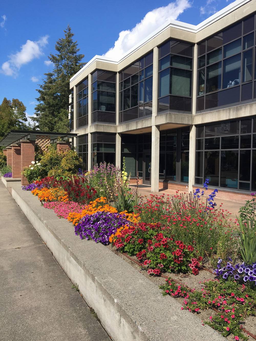 弗吉尼亚大学排名_弗吉尼亚大学图书馆