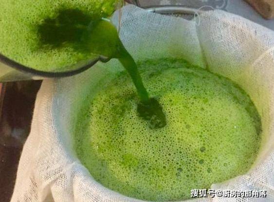 怎样在家自己种菠菜 afc9b1170b0b49f6bb5d6897c92c82f0.jpeg