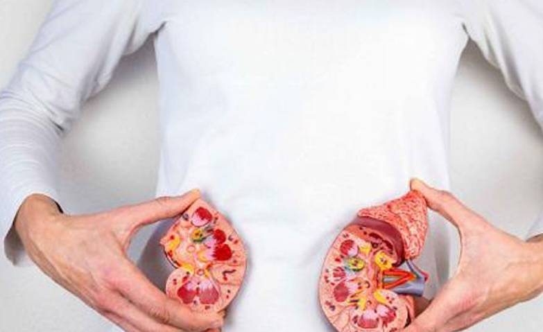 伤肾|一家人先后查出尿毒症，少吃这3种食物，每一口都在损伤肾脏