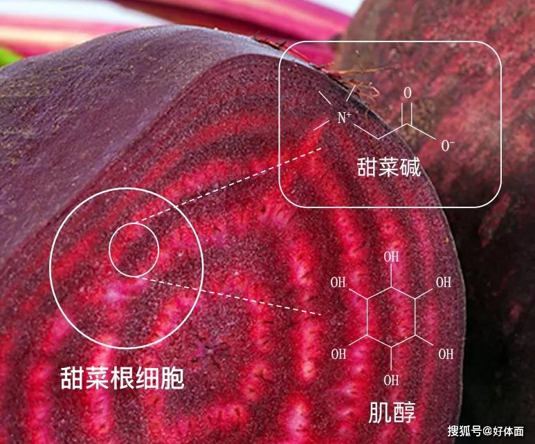产品|免费送 | 表皮肌肤受损如何“自救”？